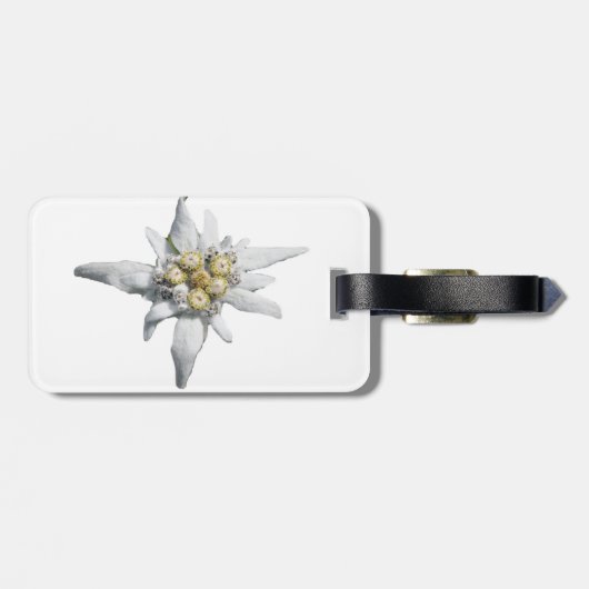À Bagage Étiquette d'edelweiss (Dos horizontal)