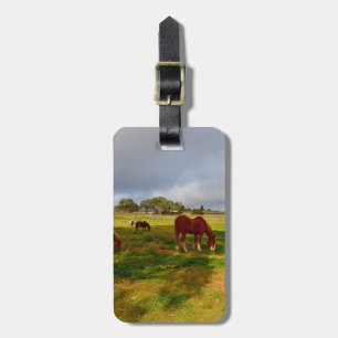 À Bagage Étiquette Des Ponies Et Châtaignes De Toscane, Bag