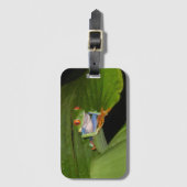 À Bagage Étiquette rouge grenouille Gaudie (Devant Vertical)
