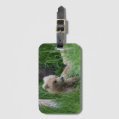 À Bagage Plus petit CUB de 128 Grazer - étiquette 2 de (Devant Vertical)