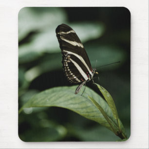 A Balanced Meal Mousepad Muismat