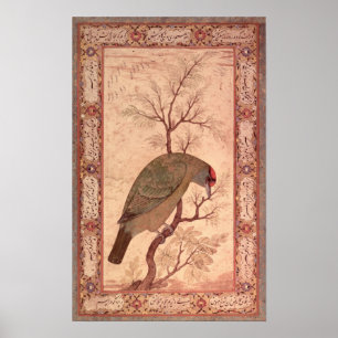 A Barbet Jahangir Period, Mughal, 1615 Poster
