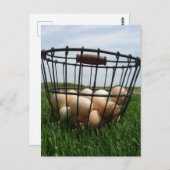 A Basket of Farm Fresh Eggs in the Grass Briefkaart (Voorkant / Achterkant)