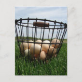 A Basket of Farm Fresh Eggs in the Grass Briefkaart (Voorkant)