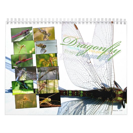 A+ Beauful Dragonflies Wall Agenda Kalender (Hoes)