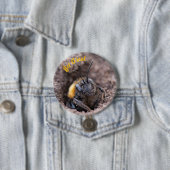 A bee on a badge ronde button 7,6 cm (In situ)