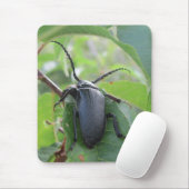 A Beetle's Reis Muismat (Met muis)