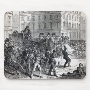 A Belfast Riot Muismat