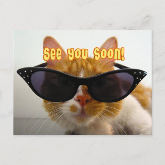 À bientôt - Carte postale de chat cool (Devant)
