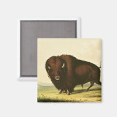 A Bison, c.1832 Magneet (Voorkant / Achterkant)