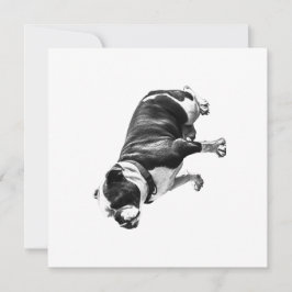 A Calm Place to Sit Kaart