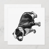 A Calm Welcome Kaart (Voorkant / Achterkant)