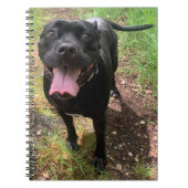 A Cane Corso X Notitieboek (Voorkant)