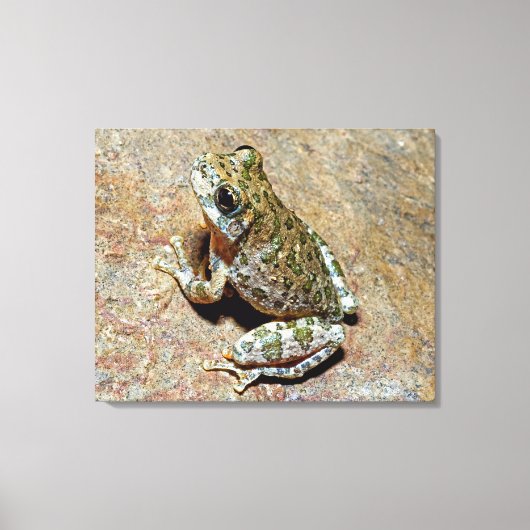 A Canyon Treefrog Canvas Afdruk (Voorkant)