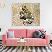 A Canyon Treefrog Canvas Afdruk (Insitu (Woonkamer))
