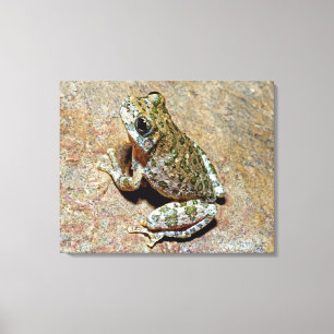 A Canyon Treefrog Canvas Afdruk