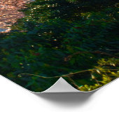 A Capital Cherry Blossom Poster (Hoek)