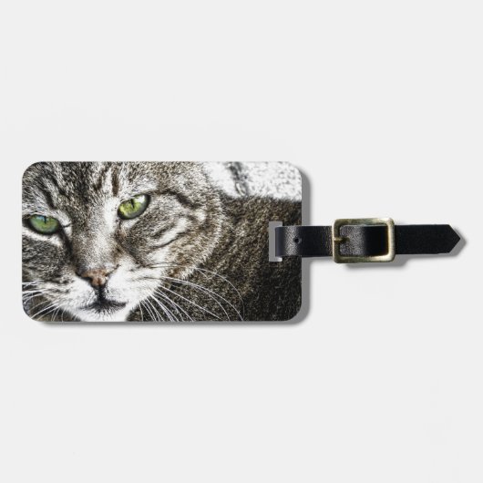 a cat bagagelabel (Voorkant horizontaal)