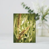 À cause de vous (amour) carte postale (Debout devant)