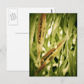 À cause de vous (amour) carte postale (Devant / Derrière)