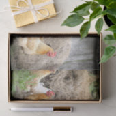 A Chaotic Chicken Portrait Part 3 Tissuepapier (Geschenk)