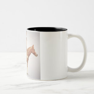 A Cheyenne Brave, 1901 (kleurenlitho) Tweekleurige Koffiemok