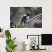 A Chickadee Poster (Thuiskantoor)