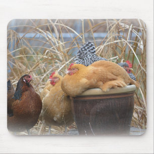 A Chicken Mouse Pad Muismat