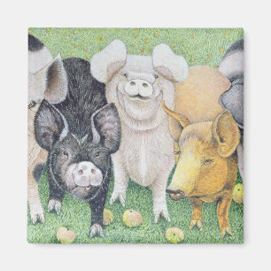 A Choruslijn Magneet