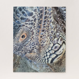 A close up head of a green iguana. Challenging Legpuzzel