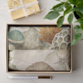 A Coastal Series Design 51 Tissuepapier (Geschenk)