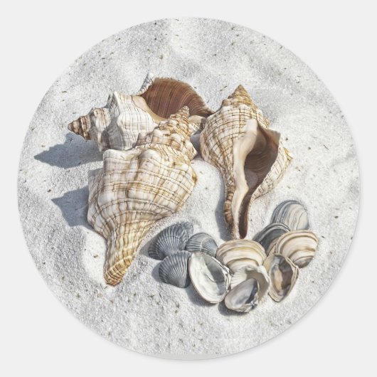 A Collection of Seashells on Sand Ronde Sticker (Voorkant)