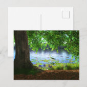 A côté de la carte postale d'eau calme (Devant / Derrière)