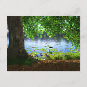 A côté de la carte postale d'eau calme
