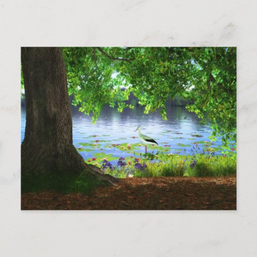 A côté de la carte postale d'eau calme (Devant)