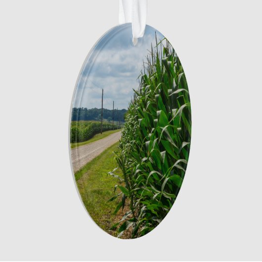 À Côté D'Un Champ De Maïs (devant)