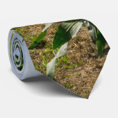 À Côté D'Un Cravate De Champ De Maïs (Roulé)