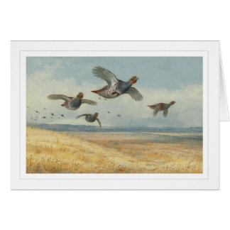 A Covey of Partridge