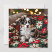 A Cute Festive Papillon Personalized Christmas Feestdagenkaart (Voorkant)