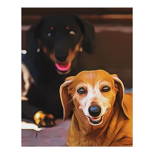 A Dachshund Hot During The Summer Heatwave Poster (Devant)