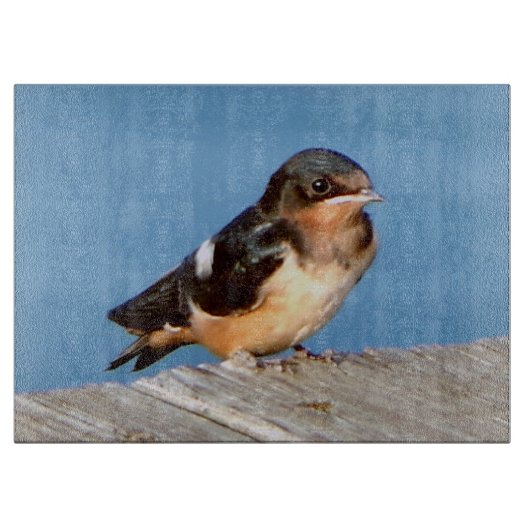 À Découper Barne Planche de coupe Swallow (Devant)