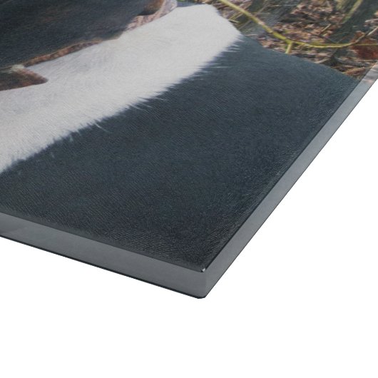 À Découper Coonhounds de marcheur de Treeing dans la planche (Coin)