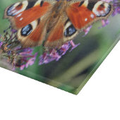 À Découper Papillon Peackock Planche Décorative Verre (Coin)