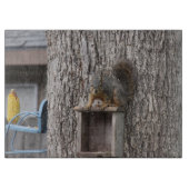 À Découper Planche de coupe d'écureuil (Devant)