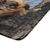 À Découper Planche de coupe d'écureuil (Coin)