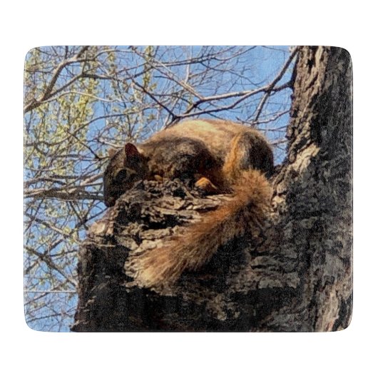 À Découper Planche de coupe d'écureuil (Devant)