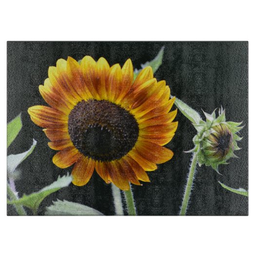 À Découper Planche de découpe de tournesol (Devant)