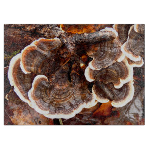 À Découper Turquie Tails Fungi Planche de verre