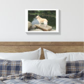 A Dog At A Pond Canvas Afdruk (Insitu (Slaapkamer))