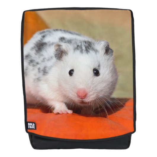 À Dos Noir blanc de hamster syrien mignon repéré - sac (Devant)